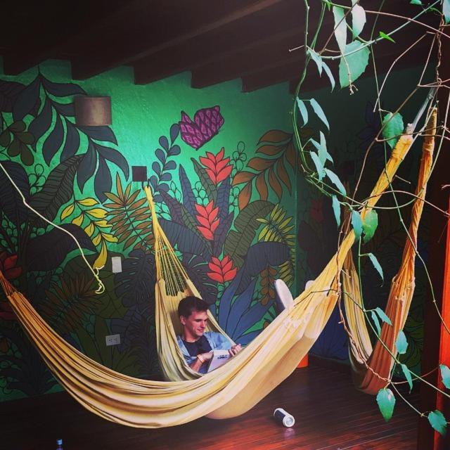 Casa Kiwi Hostel 麦德林 外观 照片