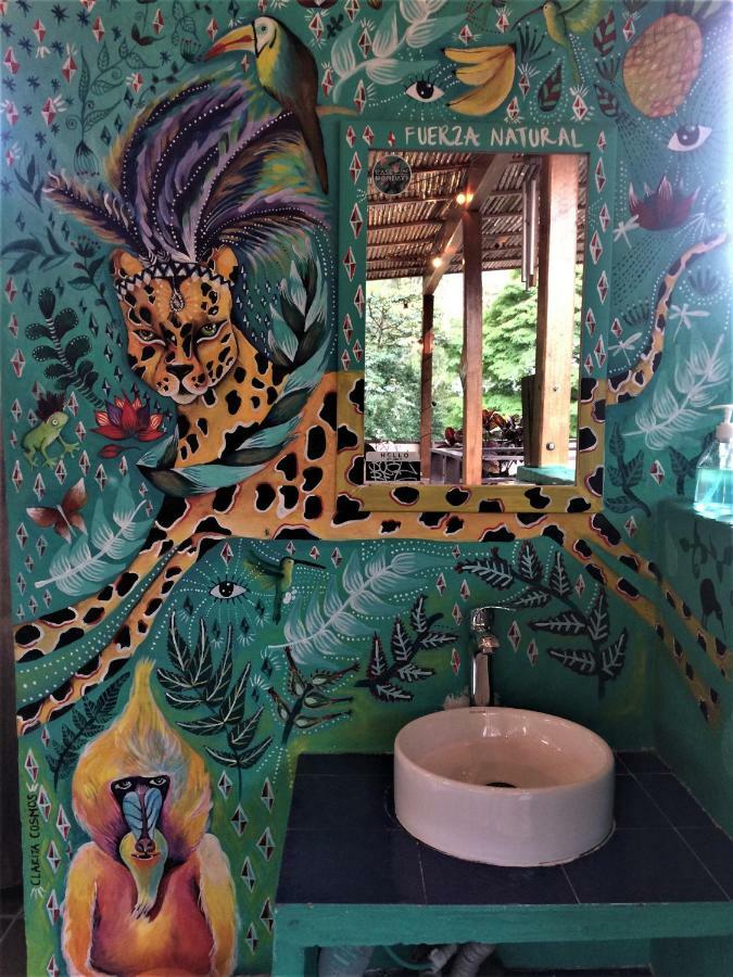 Casa Kiwi Hostel 麦德林 外观 照片